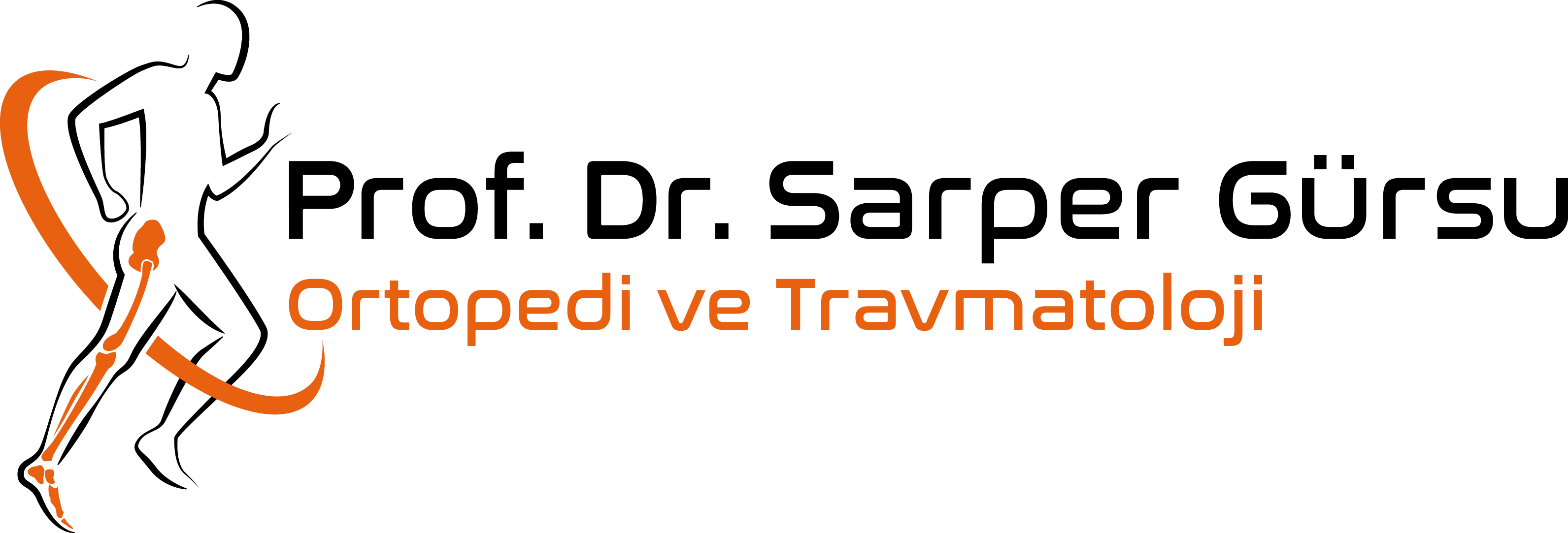Prof. Dr. Sarper GÜRSU